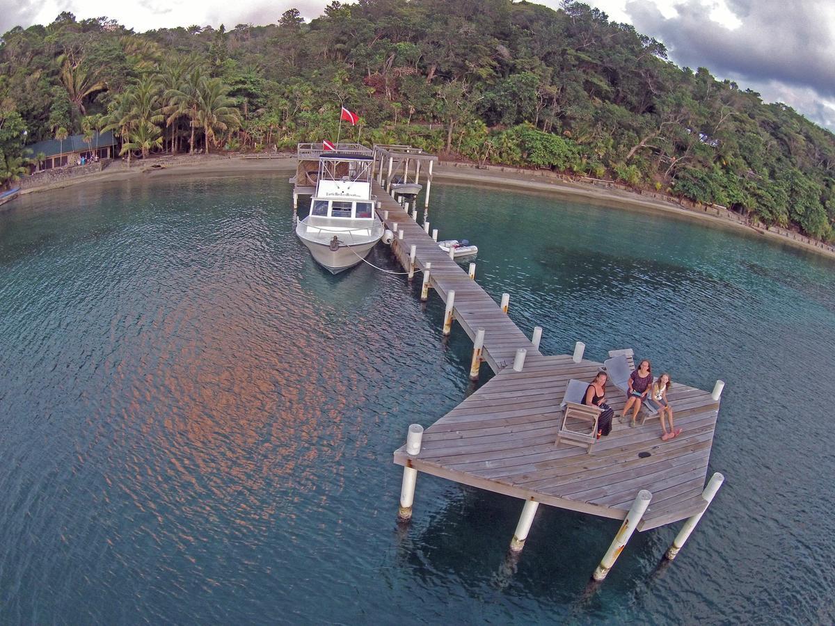 Turtle Bay Eco Resort Cayos Cochinos Værelse billede