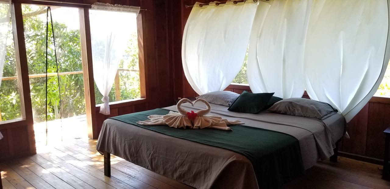 Turtle Bay Eco Resort Cayos Cochinos Eksteriør billede