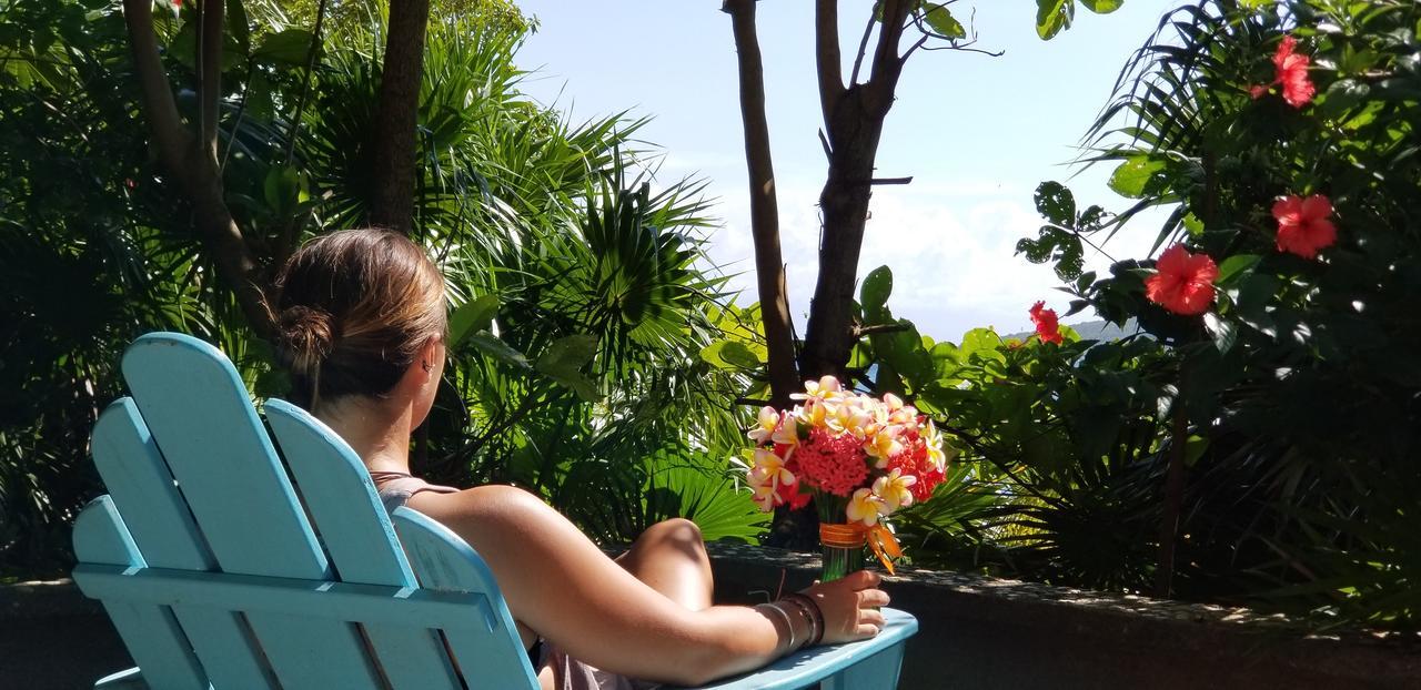 Turtle Bay Eco Resort Cayos Cochinos Eksteriør billede