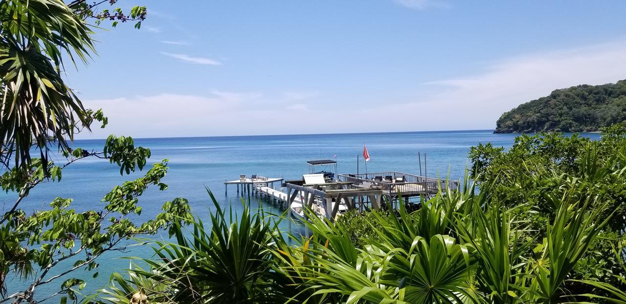 Turtle Bay Eco Resort Cayos Cochinos Eksteriør billede